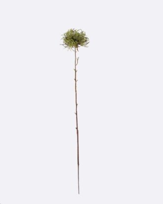 Artificial Flower 9*9*73cm Dandelion single stem GS-27926049-G1 2026Jul 3,000+ sqm showroom with thousands of artificial flowers, plants & trees ready for global sourcing. Artificial Flower 9*9*73cm Dandelion single stem GS-27926049-G1 2026Jul 3,000+ sqm showroom with thousands of artificial flowers, plants & trees ready for global sourcing.