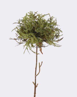 Artificial Flower 9*9*73cm Dandelion single stem GS-27926049-G1 2026Jul 3,000+ sqm showroom with thousands of artificial flowers, plants & trees ready for global sourcing. Artificial Flower 9*9*73cm Dandelion single stem GS-27926049-G1 2026Jul 3,000+ sqm showroom with thousands of artificial flowers, plants & trees ready for global sourcing.