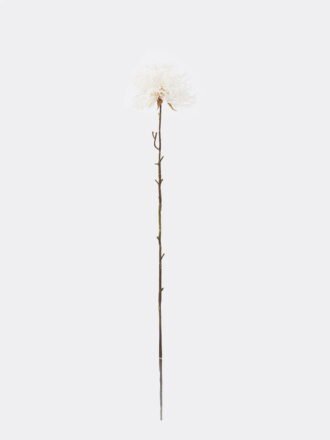 Artificial Flower 9*9*73cm Dandelion single stem GS-27926049-G1 2026Jul 3,000+ sqm showroom with thousands of artificial flowers, plants & trees ready for global sourcing.