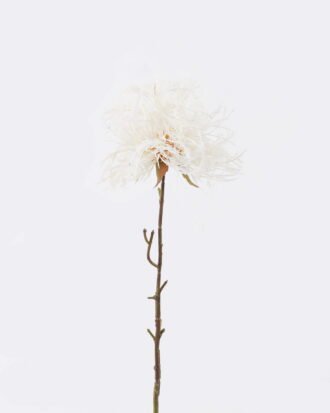 Artificial Flower 9*9*73cm Dandelion single stem GS-27926049-W1 2026Jul 3,000+ sqm showroom with thousands of artificial flowers, plants & trees ready for global sourcing. Artificial Flower 9*9*73cm Dandelion single stem GS-27926049-W1 2026Jul 3,000+ sqm showroom with thousands of artificial flowers, plants & trees ready for global sourcing.