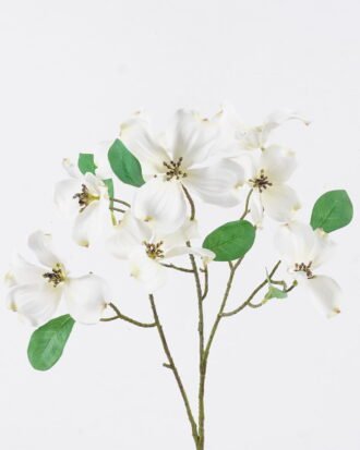 Artificial Flower 20*8*72cm Dogwood single stem GS-35126006-W1 2026Jul 3,000+ sqm showroom with thousands of artificial flowers, plants & trees ready for global sourcing. Artificial Flower 20*8*72cm Dogwood single stem GS-35126006-W1 2026Jul 3,000+ sqm showroom with thousands of artificial flowers, plants & trees ready for global sourcing.