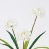 Artificial Flower East Asian chrysanthemum 3 bush GS-128J26002-W1_1 Artificial Flower 16*6*47cm East Asian chrysanthemum *3 bush GS-128J26002-W1 2026Jun 3,000+ sqm showroom with thousands of artificial flowers, plants & trees ready for global sourcing.