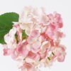 Artificial Flower Embroidered Embroidered Ball Flower Single Stem GS-27926018_2 Artificial Flower 13*10*44cm Embroidered Embroidered Ball Flower Single Stem GS-27926018 2026Jul 3,000+ sqm showroom with thousands of artificial flowers, plants & trees ready for global sourcing.