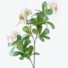 Artificial Flower Ericaceae 3 single stem GS-26226003-W1_1 Artificial Flower 14*5*66cm Ericaceae *3 single stem GS-26226003-W1 2026Jul 3,000+ sqm showroom with thousands of artificial flowers, plants & trees ready for global sourcing.