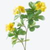Artificial Flower Ericaceae 3 single stem GS-26226003-Y2_1 Artificial Flower 14*5*66cm Ericaceae *3 single stem GS-26226003-Y2 2026Jul 3,000+ sqm showroom with thousands of artificial flowers, plants & trees ready for global sourcing.