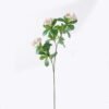 Artificial Flower Ericaceae 3 single stem GS-26226003_5 Artificial Flower 14*5*66cm Ericaceae *3 single stem GS-26226003 2026Jul 3,000+ sqm showroom with thousands of artificial flowers, plants & trees ready for global sourcing.