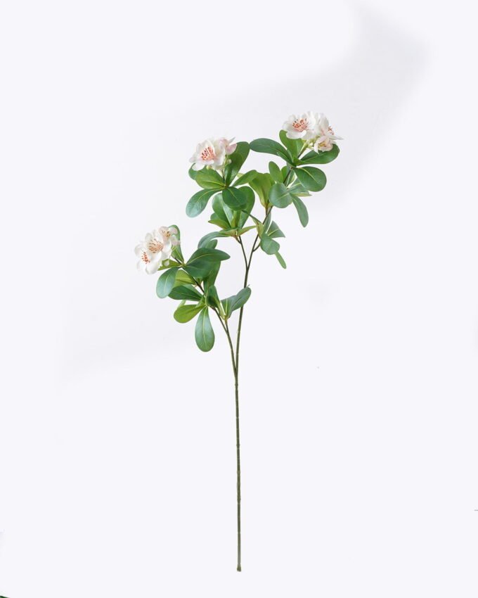 Artificial Flower Ericaceae 3 single stem GS-26226003_5 Artificial Flower 14*5*66cm Ericaceae *3 single stem GS-26226003 2026Jul 3,000+ sqm showroom with thousands of artificial flowers, plants & trees ready for global sourcing.