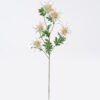 Artificial Flower Eryngium 5 single stem GS-51626012-O1 Artificial Flower 16*8*80cm Eryngium *5 single stem GS-51626012-O1 2026Aug 3,000+ sqm showroom with thousands of artificial flowers, plants & trees ready for global sourcing.