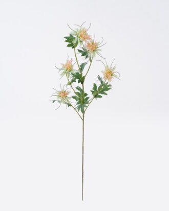 Artificial Flower 16*8*80cm Eryngium *5 single stem GS-51626012-O1 2026Aug 3,000+ sqm showroom with thousands of artificial flowers, plants & trees ready for global sourcing. Artificial Flower 16*8*80cm Eryngium *5 single stem GS-51626012-O1 2026Aug 3,000+ sqm showroom with thousands of artificial flowers, plants & trees ready for global sourcing.