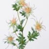 Artificial Flower Eryngium 5 single stem GS-51626012-O1_2 Artificial Flower 16*8*80cm Eryngium *5 single stem GS-51626012-O1 2026Aug 3,000+ sqm showroom with thousands of artificial flowers, plants & trees ready for global sourcing.