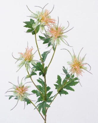 Artificial Flower 16*8*80cm Eryngium *5 single stem GS-51626012-O1 2026Aug 3,000+ sqm showroom with thousands of artificial flowers, plants & trees ready for global sourcing. Artificial Flower 16*8*80cm Eryngium *5 single stem GS-51626012-O1 2026Aug 3,000+ sqm showroom with thousands of artificial flowers, plants & trees ready for global sourcing.