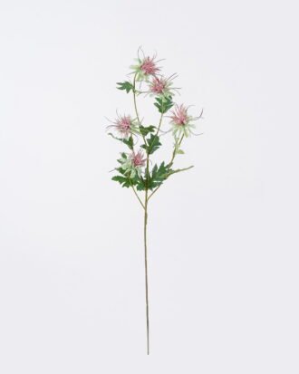 Artificial Flower 16*8*80cm Eryngium *5 single stem GS-51626012-R2 2026Aug 3,000+ sqm showroom with thousands of artificial flowers, plants & trees ready for global sourcing. Artificial Flower 16*8*80cm Eryngium *5 single stem GS-51626012-R2 2026Aug 3,000+ sqm showroom with thousands of artificial flowers, plants & trees ready for global sourcing.