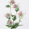 Artificial Flower Eryngium 5 single stem GS-51626012-R2_2 Artificial Flower 16*8*80cm Eryngium *5 single stem GS-51626012-R2 2026Aug 3,000+ sqm showroom with thousands of artificial flowers, plants & trees ready for global sourcing.