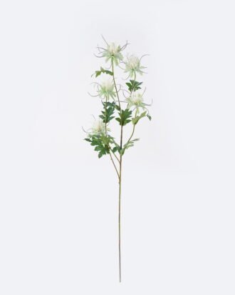 Artificial Flower 16*8*80cm Eryngium *5 single stem GS-51626012-W1 2026Aug 3,000+ sqm showroom with thousands of artificial flowers, plants & trees ready for global sourcing. Artificial Flower 16*8*80cm Eryngium *5 single stem GS-51626012-W1 2026Aug 3,000+ sqm showroom with thousands of artificial flowers, plants & trees ready for global sourcing.