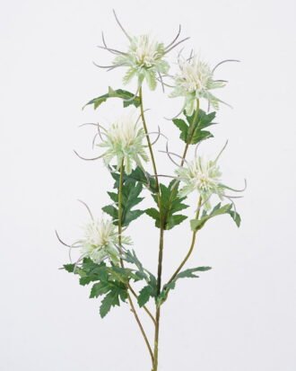 Artificial Flower 16*8*80cm Eryngium *5 single stem GS-51626012-W1 2026Aug 3,000+ sqm showroom with thousands of artificial flowers, plants & trees ready for global sourcing. Artificial Flower 16*8*80cm Eryngium *5 single stem GS-51626012-W1 2026Aug 3,000+ sqm showroom with thousands of artificial flowers, plants & trees ready for global sourcing.
