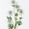 Artificial Flower Eryngium 5 single stem GS-51626012_2 Artificial Flower 16*8*80cm Eryngium *5 single stem GS-51626012 2026Aug 3,000+ sqm showroom with thousands of artificial flowers, plants & trees ready for global sourcing.