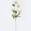 Artificial Flower Eryngium 5 single stem GS-51626012_6 Artificial Flower 16*8*80cm Eryngium *5 single stem GS-51626012 2026Aug 3,000+ sqm showroom with thousands of artificial flowers, plants & trees ready for global sourcing.