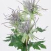 Artificial Flower Eryngium breviacaule 3 single stem GS-51626013-H1_2 Artificial Flower 12*6*37cm Eryngium breviacaule *3 single stem GS-51626013-H1 2026Aug 3,000+ sqm showroom with thousands of artificial flowers, plants & trees ready for global sourcing.