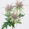 Artificial Flower Eryngium breviacaule 3 single stem GS-51626013-R1_2 Artificial Flower 12*6*37cm Eryngium breviacaule *3 single stem GS-51626013-R1 2026Aug 3,000+ sqm showroom with thousands of artificial flowers, plants & trees ready for global sourcing.
