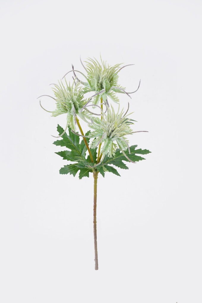 Artificial Flower Eryngium breviacaule 3 single stem GS-51626013_4 Artificial Flower 12*6*37cm Eryngium breviacaule *3 single stem GS-51626013 2026Aug 3,000+ sqm showroom with thousands of artificial flowers, plants & trees ready for global sourcing.