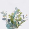 Artificial Flower Eucalyptus fruit in glass GS-77326005_3 Artificial Flower 12*7*31cm Eucalyptus fruit in glass GS-77326005 2026Aug 3,000+ sqm showroom with thousands of artificial flowers, plants & trees ready for global sourcing.