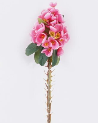 Artificial Flower 13*9*100cm Euphorbia milii single stem GS-37526010-P2 2026Jul 3,000+ sqm showroom with thousands of artificial flowers, plants & trees ready for global sourcing. Artificial Flower 13*9*100cm Euphorbia milii single stem GS-37526010-P2 2026Jul 3,000+ sqm showroom with thousands of artificial flowers, plants & trees ready for global sourcing.