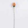 Artificial Flower 13*9*100cm Euphorbia milii single stem GS-37526010 2026Jul 3,000+ sqm showroom with thousands of artificial flowers, plants & trees ready for global sourcing.