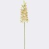 Artificial Flower Flower 15 single stem moist real touch GS-79826002-G2 Artificial Flower 15*6*80cm Flower *15 single stem /moist real touch GS-79826002-G2 2026SEP 3,000+ sqm showroom with thousands of artificial flowers, plants & trees ready for global sourcing.
