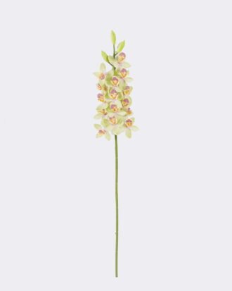 Artificial Flower 15*6*80cm Flower *15 single stem /moist real touch GS-79826002-G2 2026SEP 3,000+ sqm showroom with thousands of artificial flowers, plants & trees ready for global sourcing. Artificial Flower 15*6*80cm Flower *15 single stem /moist real touch GS-79826002-G2 2026SEP 3,000+ sqm showroom with thousands of artificial flowers, plants & trees ready for global sourcing.
