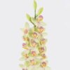 Artificial Flower Flower 15 single stem moist real touch GS-79826002-G2_1 Artificial Flower 15*6*80cm Flower *15 single stem /moist real touch GS-79826002-G2 2026SEP 3,000+ sqm showroom with thousands of artificial flowers, plants & trees ready for global sourcing.