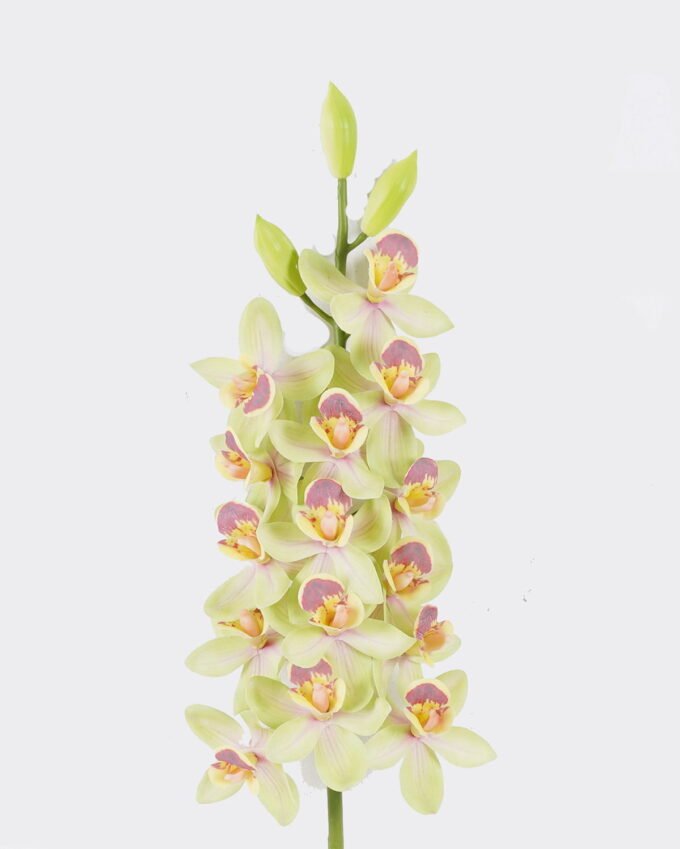 Artificial Flower Flower 15 single stem moist real touch GS-79826002-G2_1 Artificial Flower 15*6*80cm Flower *15 single stem /moist real touch GS-79826002-G2 2026SEP 3,000+ sqm showroom with thousands of artificial flowers, plants & trees ready for global sourcing.