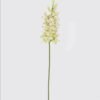 Artificial Flower Flower 15 single stem moist real touch GS-79826002_4 Artificial Flower 15*6*80cm Flower *15 single stem /moist real touch GS-79826002 2026SEP 3,000+ sqm showroom with thousands of artificial flowers, plants & trees ready for global sourcing.