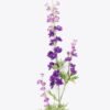 Artificial Flower 11*5*87cm Flower *3 single stem GS-23926002-Z2 2026Jul 3,000+ sqm showroom with thousands of artificial flowers, plants & trees ready for global sourcing.