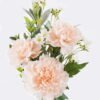 Artificial Flower Flower 5 bush GS-16826026-P1_1 Artificial Flower 25*14*60cm Flower *5 bush GS-16826026-P1 2026Jul 3,000+ sqm showroom with thousands of artificial flowers, plants & trees ready for global sourcing.