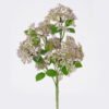 Artificial Flower Flower 5 bush GS-51626007_5 Artificial Flower 16*10*34cm Flower *5 bush GS-51626007 2026Aug 3,000+ sqm showroom with thousands of artificial flowers, plants & trees ready for global sourcing.