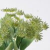 Artificial Flower Flower 5 bush GS-83826001_2 Artificial Flower 16*10*29cm Flower *5 bush GS-83826001 2026SEP 3,000+ sqm showroom with thousands of artificial flowers, plants & trees ready for global sourcing.