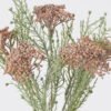 Artificial Flower Flower 5 bush GS-84126004_2 Artificial Flower 13*6*36cm Flower *5 bush GS-84126004 2026SEP 3,000+ sqm showroom with thousands of artificial flowers, plants & trees ready for global sourcing.