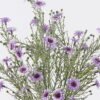 Artificial Flower Flower 5 bush GS-84126012-Z1_1 Artificial Flower 18*4*39cm Flower *5 bush GS-84126012-Z1 2026SEP 3,000+ sqm showroom with thousands of artificial flowers, plants & trees ready for global sourcing.