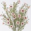 Artificial Flower Flower 5 bush GS-84126012_2 Artificial Flower 18*4*39cm Flower *5 bush GS-84126012 2026SEP 3,000+ sqm showroom with thousands of artificial flowers, plants & trees ready for global sourcing.