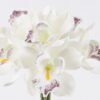 Artificial Flower Flower 6 bush GS-16826016-W1_1 Artificial Flower 18*13*27cm Flower *6 bush GS-16826016-W1 2026Jul 3,000+ sqm showroom with thousands of artificial flowers, plants & trees ready for global sourcing.