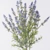 Artificial Flower Flower 6 bush GS-84126009_5 Artificial Flower 18*7*60cm Flower *6 bush GS-84126009 2026SEP 3,000+ sqm showroom with thousands of artificial flowers, plants & trees ready for global sourcing.