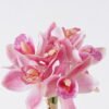 Artificial Flower 15*9*25cm Flower *6 bush /moist real touch GS-79826001-P1 2026SEP 3,000+ sqm showroom with thousands of artificial flowers, plants & trees ready for global sourcing.