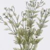 Artificial Flower Flower 7 bush GS-84126003-Y1_4 Artificial Flower 19*4*52cm Flower *7 bush GS-84126003-Y1 2026SEP 3,000+ sqm showroom with thousands of artificial flowers, plants & trees ready for global sourcing.