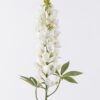 Artificial Flower Flower single stem 2 lvs GS-26226017-W1_2 Artificial Flower 15*6*70cm Flower single stem/2 lvs GS-26226017-W1 2026Jul 3,000+ sqm showroom with thousands of artificial flowers, plants & trees ready for global sourcing.