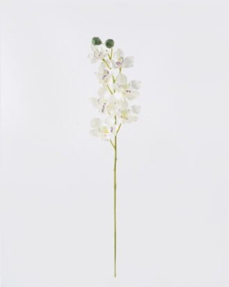 Artificial Flower 17*10*78cm Flower single stem GS-16826017-W1 2026Jul 3,000+ sqm showroom with thousands of artificial flowers, plants & trees ready for global sourcing.
