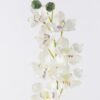 Artificial Flower Flower single stem GS-16826017-W1_1 Artificial Flower 17*10*78cm Flower single stem GS-16826017-W1 2026Jul 3,000+ sqm showroom with thousands of artificial flowers, plants & trees ready for global sourcing.