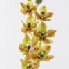 Artificial Flower 17*10*78cm Flower single stem GS-16826017 2026Jul 3,000+ sqm showroom with thousands of artificial flowers, plants & trees ready for global sourcing.