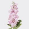 Artificial Flower Flower single stem GS-23926008_2 Artificial Flower 11*5*59cm Flower single stem GS-23926008 2026Jul 3,000+ sqm showroom with thousands of artificial flowers, plants & trees ready for global sourcing.