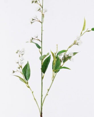 Artificial Flower 18*4*109cm Flower single stem GS-30026016 2026Jul 3,000+ sqm showroom with thousands of artificial flowers, plants & trees ready for global sourcing. Artificial Flower 18*4*109cm Flower single stem GS-30026016 2026Jul 3,000+ sqm showroom with thousands of artificial flowers, plants & trees ready for global sourcing.