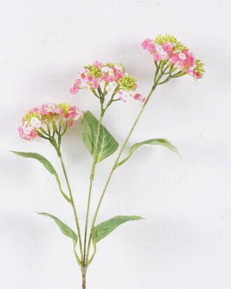 Artificial Flower 20*7*72cm Flower single stem GS-30026019-P1 2026Jul 3,000+ sqm showroom with thousands of artificial flowers, plants & trees ready for global sourcing. Artificial Flower 20*7*72cm Flower single stem GS-30026019-P1 2026Jul 3,000+ sqm showroom with thousands of artificial flowers, plants & trees ready for global sourcing.